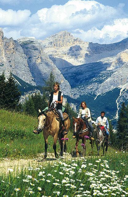 Hotel Des Alpes Selva di Val Gardena Exterior photo